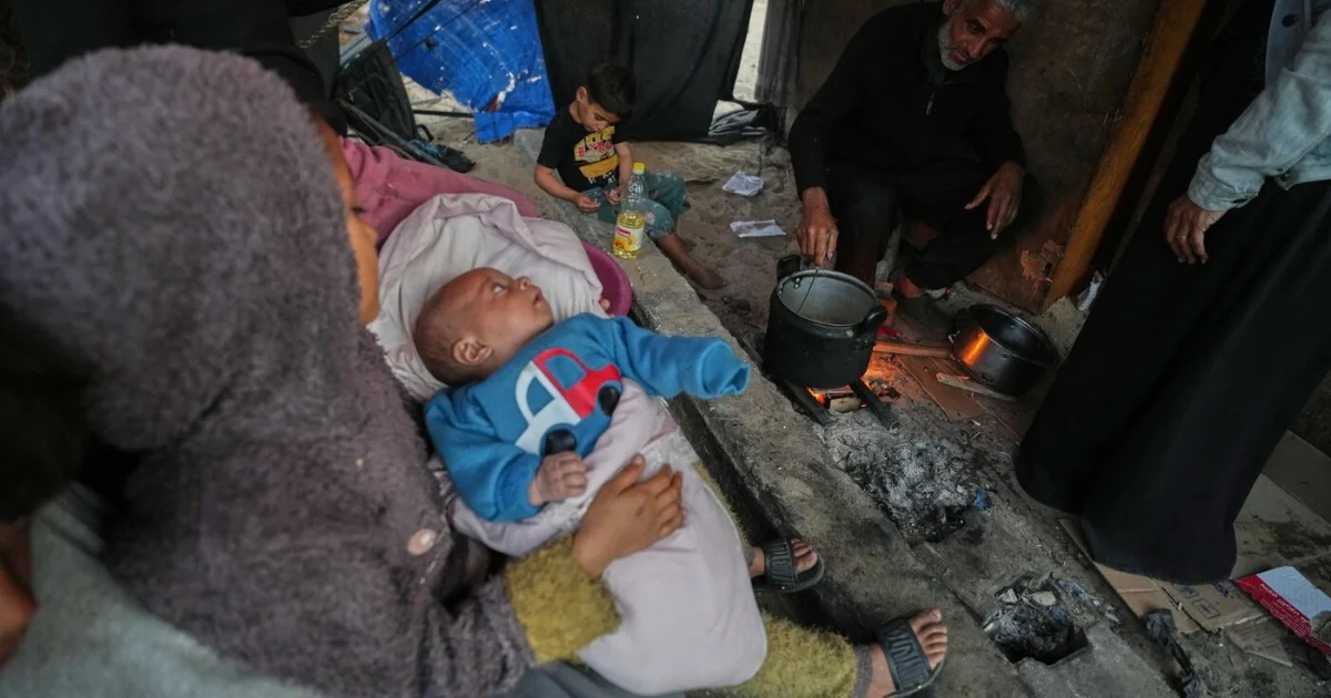 Colapso Sanitário em Gaza: Ratos Invadem Tendas, Mordem Crianças e Agravam Doenças
