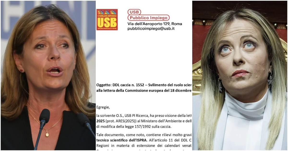 Governo enfraquece o papel técnico da Ispra no DDL da caça; trabalhadores denunciam silêncio inaceitável