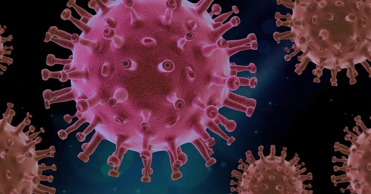 Hantavírus: recomeça a corrida pela vacina e volta o alarmismo — nasce um novo Leviatão tecnossanitário?