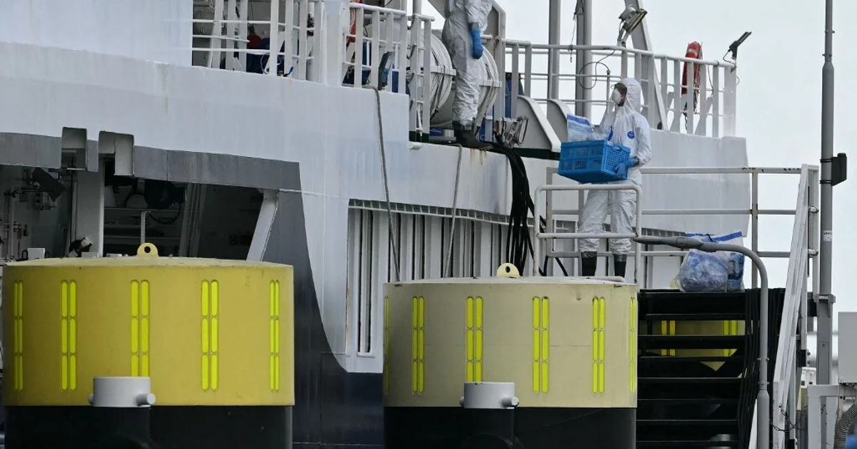 Hantavírus: começa sanificação meticulosa do navio Hondius em Rotterdam