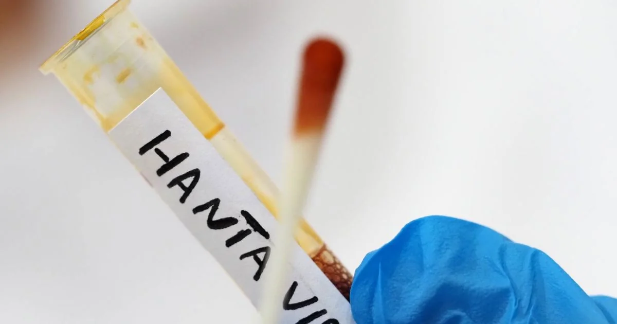 Hantavírus: Ministério confirma que todos os quatro testes realizados na Itália deram negativos