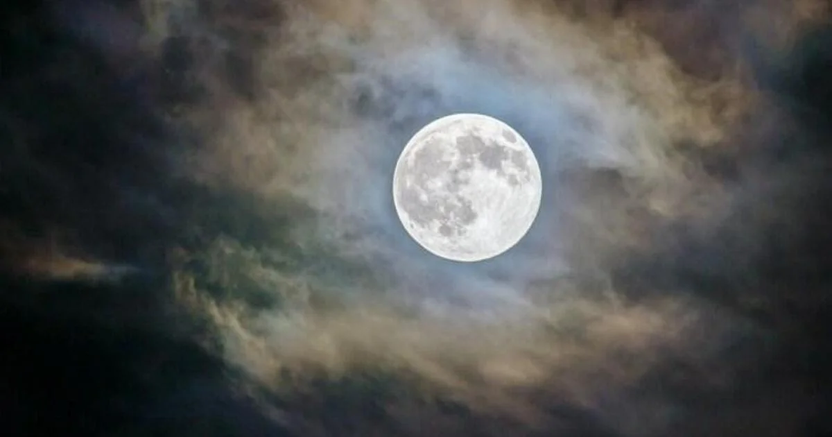 Lua das Flores no céu de 1º de maio: renascimento, fertilidade e abundância