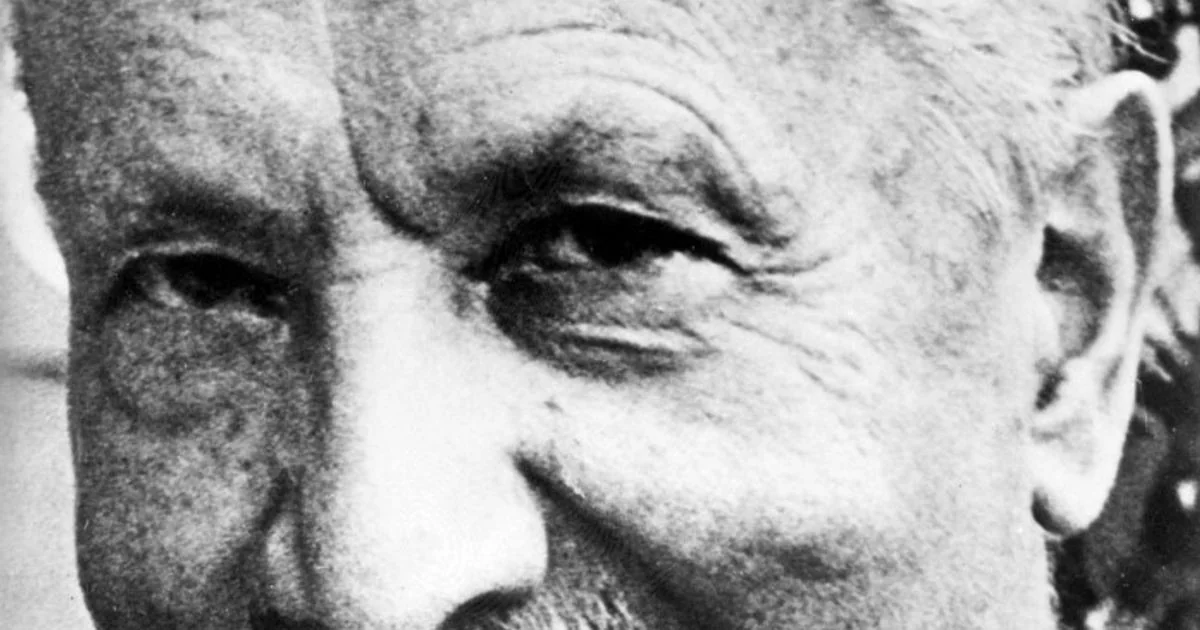 Martin Heidegger 50 anos depois: o brilho do gênio e a sombra do nazismo