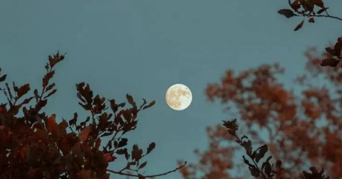 Mini Lua Azul em maio de 2026: quando ver, por que é rara e como observar