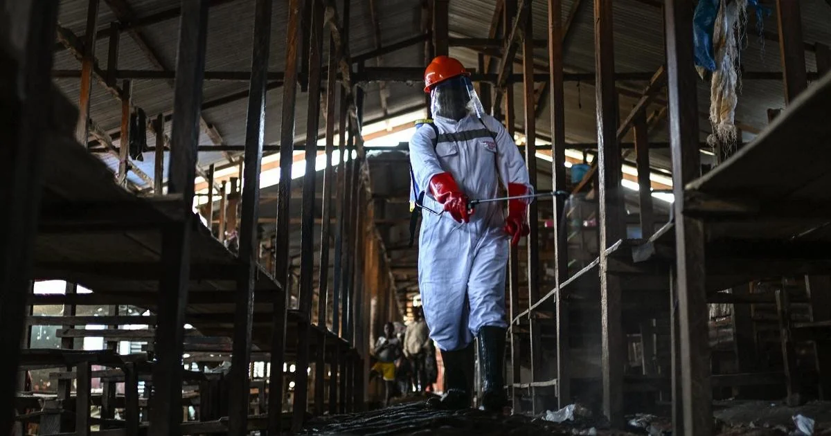 OMS pede cessar‑fogo no Congo para conter Ebola: 'colisão catastrófica entre vírus e guerra'