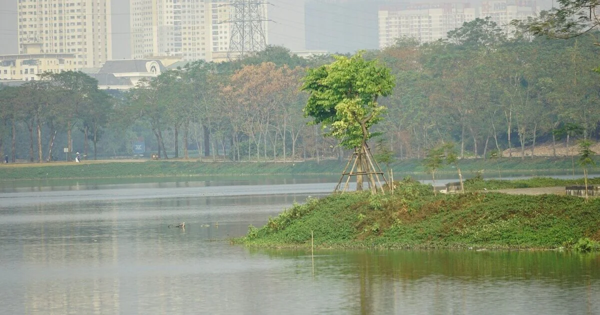 Plano de Restauro da Natureza: recuperar áreas terrestres e marinhas e proteger os espaços verdes urbanos até 2030