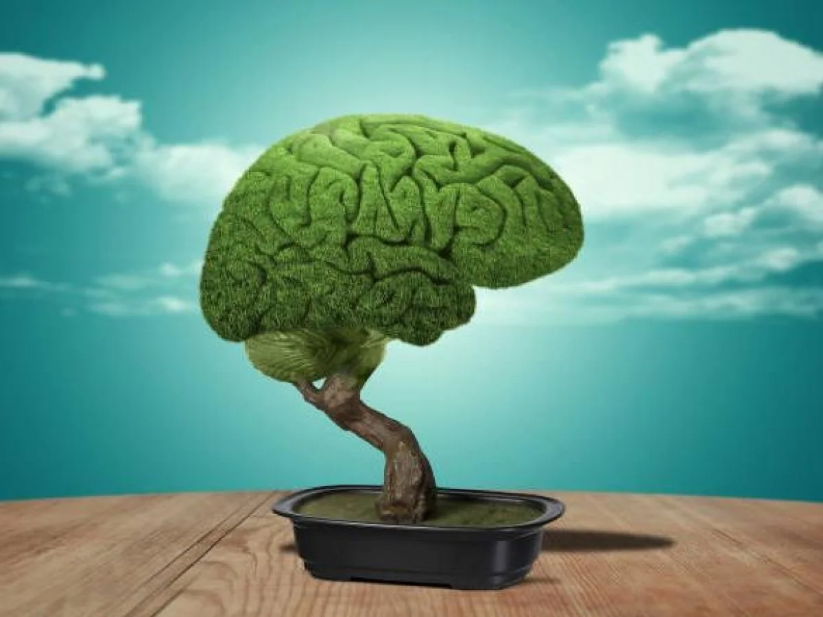 As plantas são realmente inteligentes e altruístas? Um olhar crítico sobre a “nova botânica”