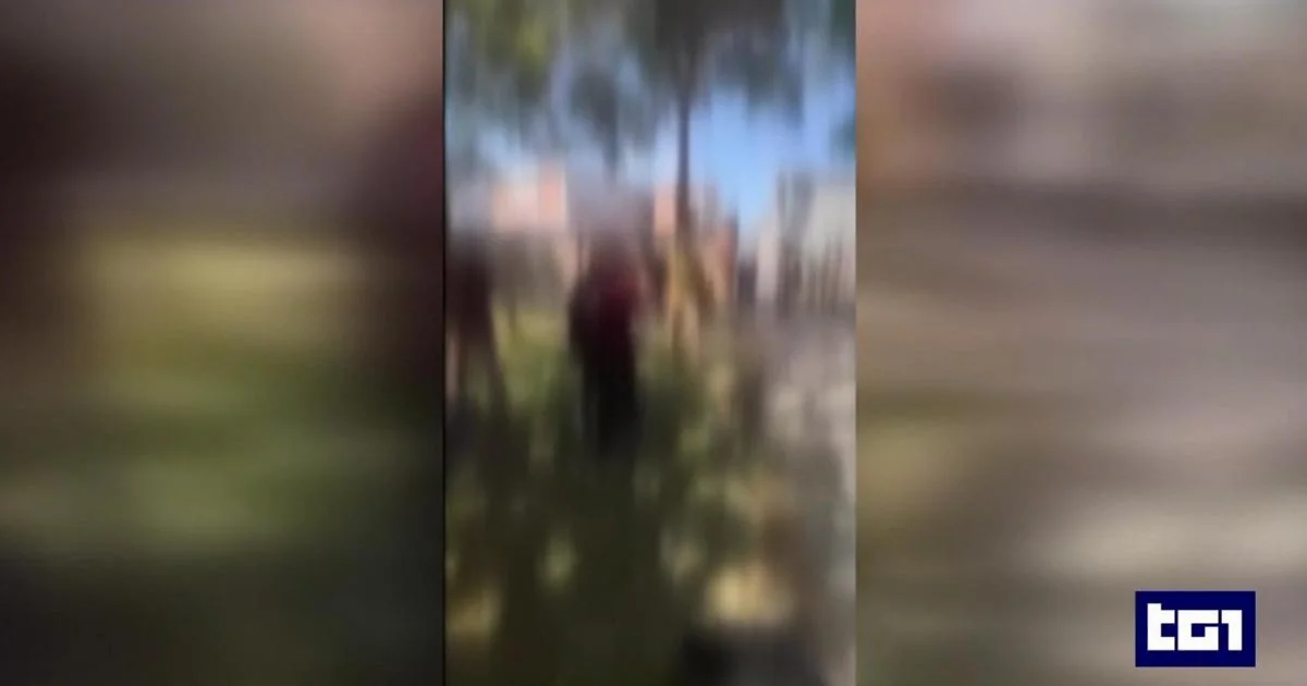 Professores agredidos em Parma: vídeo mostra ataque no Parco Ex Eridania; docentes não vão denunciar