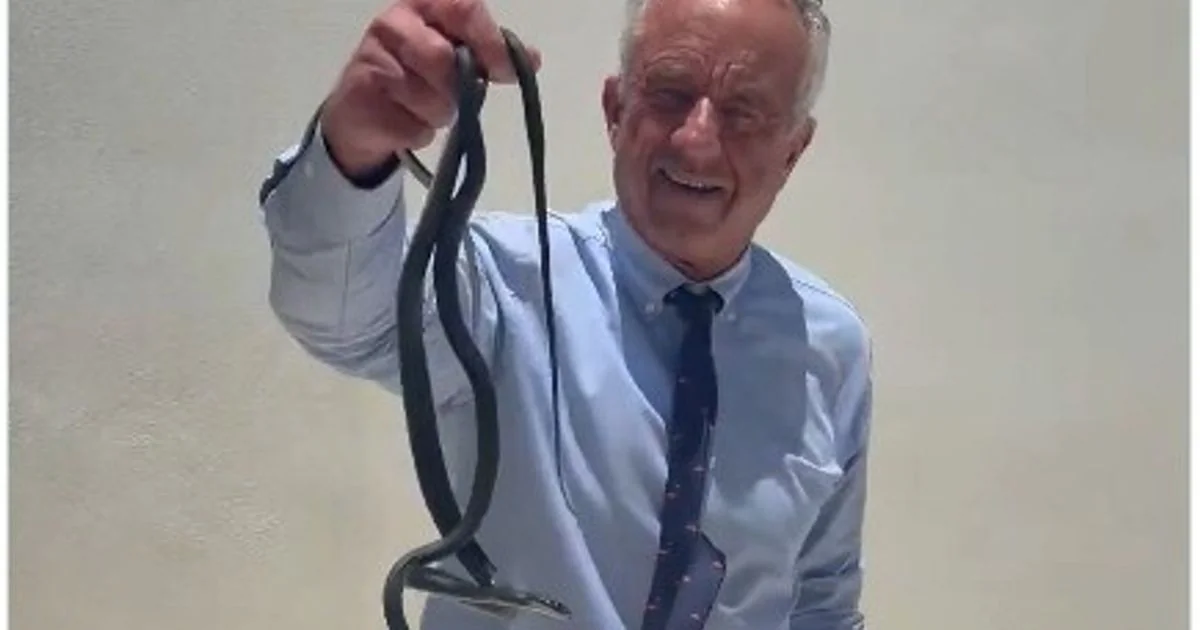 Robert Kennedy Jr. captura duas serpentes em vídeo na casa de Dr. Oz e é mordido durante ação