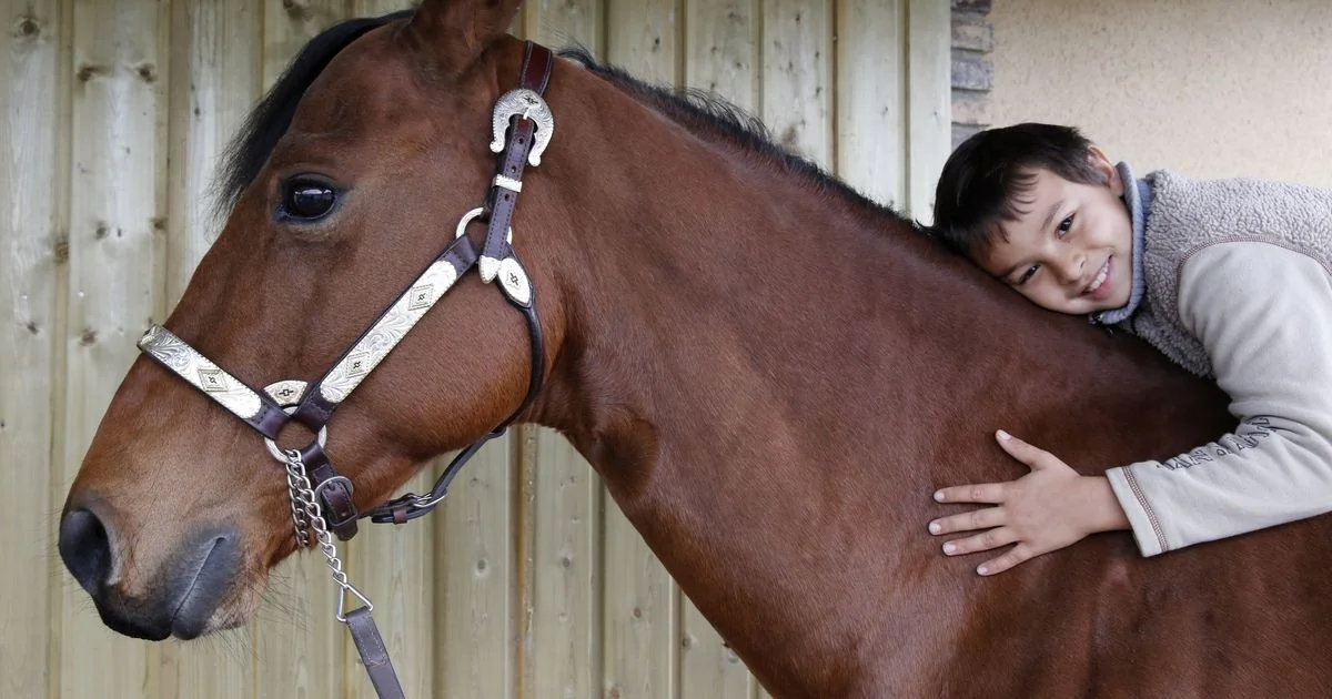 San Raffaele Viterbo: 40 anos de reabilitação equestre e inclusão