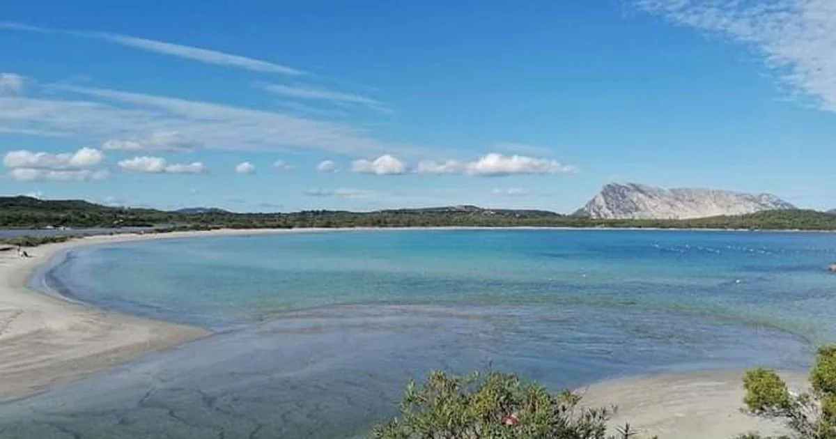 Estudo revela que a Sardenha girou 90 graus em 15 milhões de anos durante abertura do oceano Liguro-Provençal