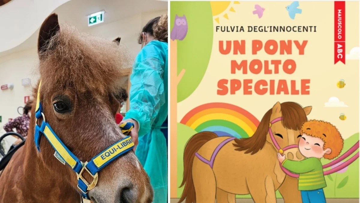 Trilly, o pony que ilumina vidas: como a pet therapy da Vidas transforma hospices pediátricos