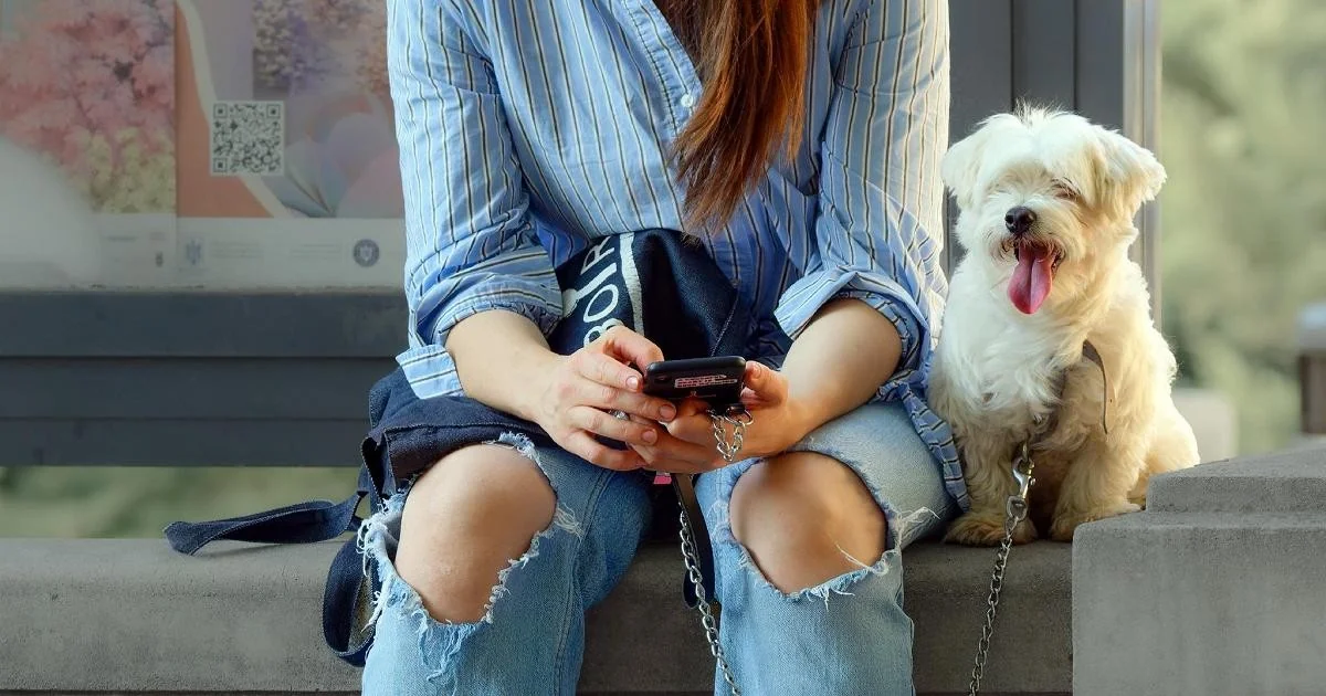 Amico Fido: o app gratuito que mapeia iscas envenenadas e protege cães e gatos