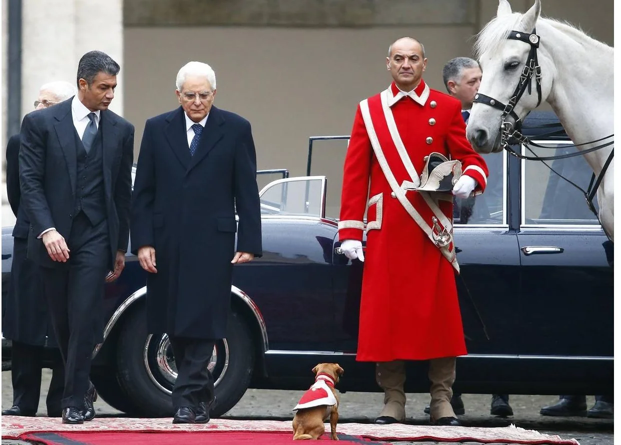 Briciola, a mascote veterana dos Carabinieri, faz sua última parada na Festa da República