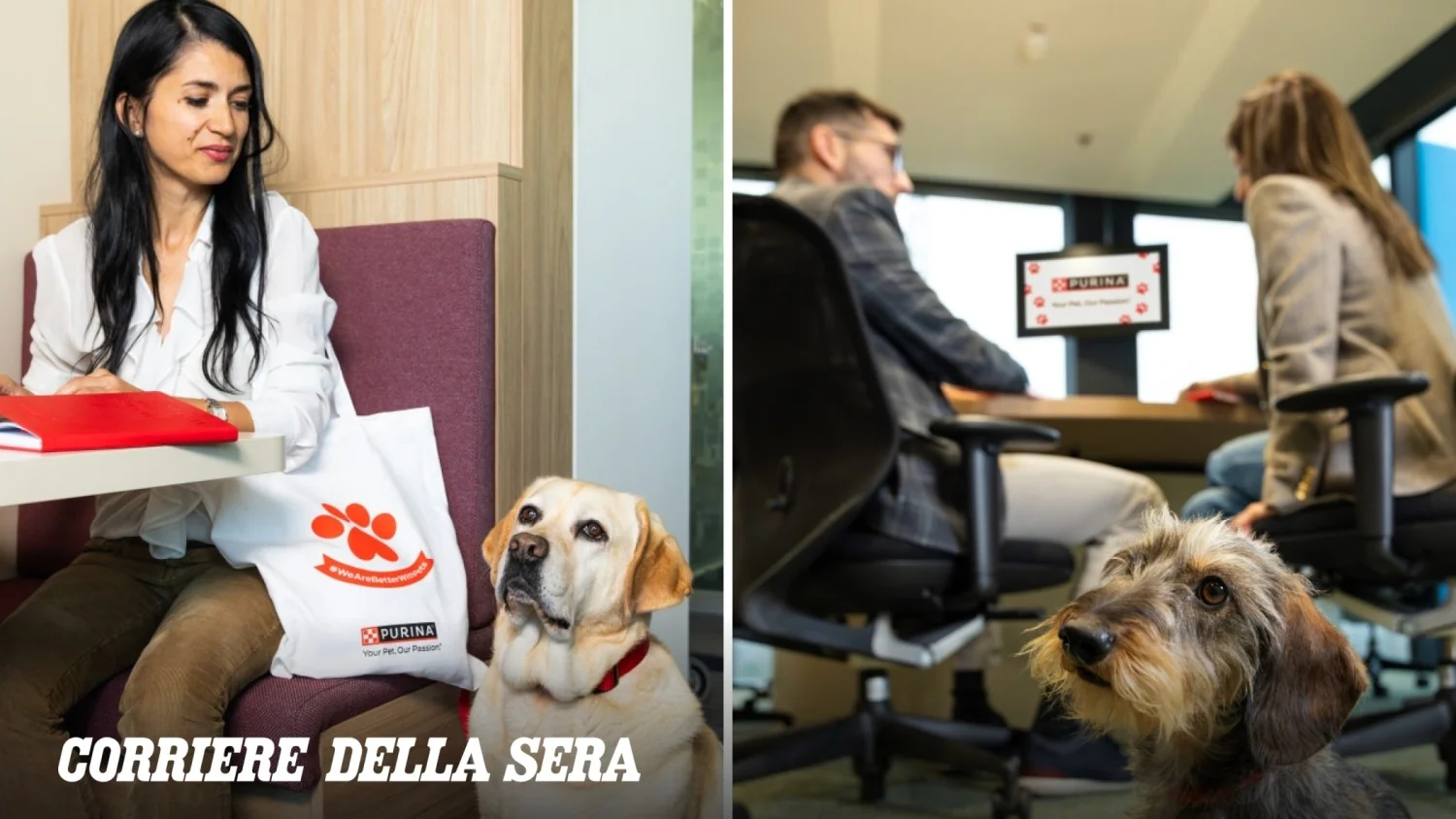 Cães no escritório: Purina amplia a Pets at Work Alliance com Zoetis e Bonprix e ilumina o caminho do trabalho pet-friendly