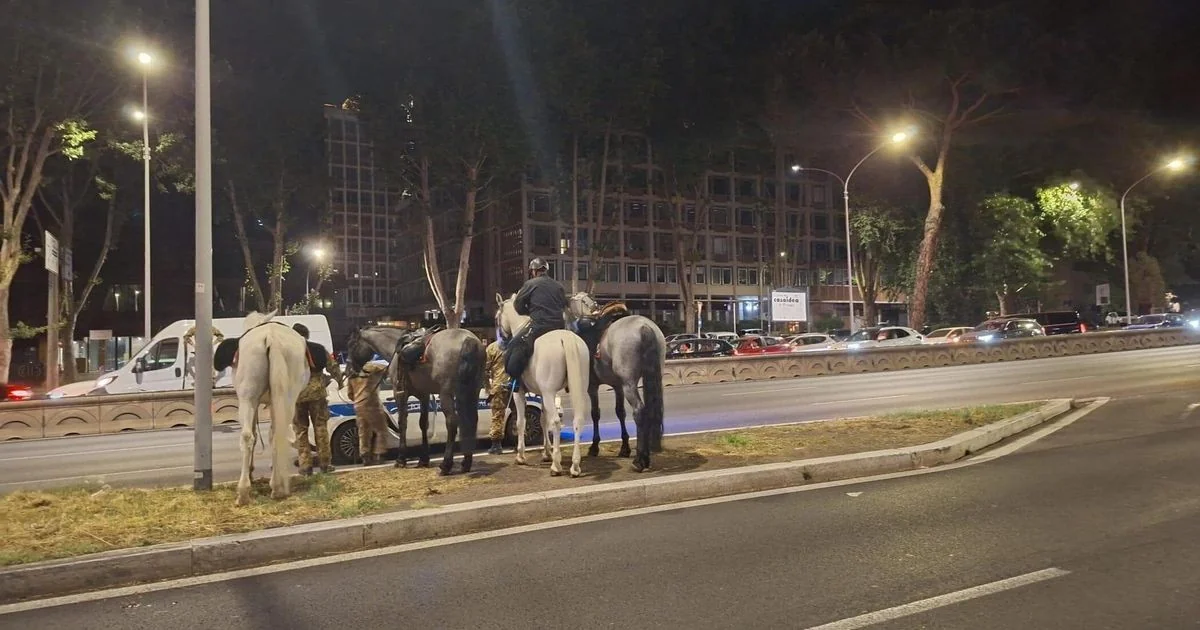 Cavalos fogem durante ensaio da parada do 2 de junho em Roma; quatro feridos entre as forças de segurança