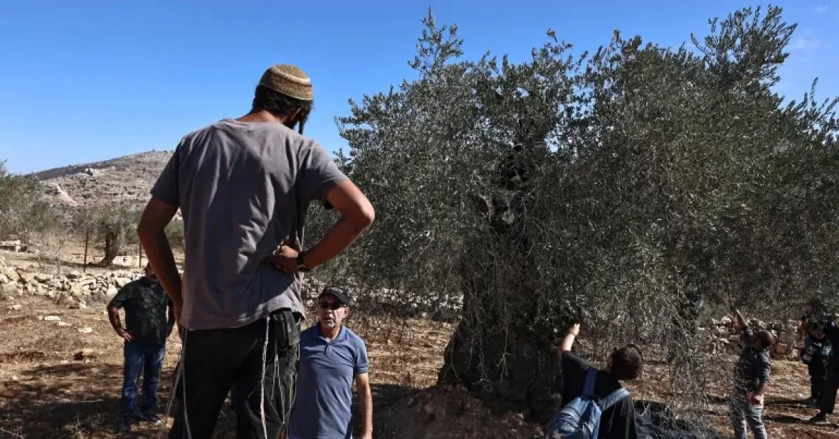 Relatório B'Tselem: 25% das vítimas na Cisjordânia são crianças — nível mais alto desde 1967