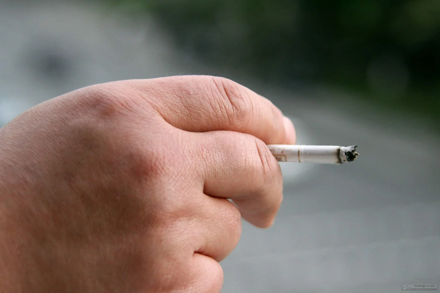 Consultação da Comissão Europeia sobre tabaco é criticada como ‘impossível por design’, diz ETHRA