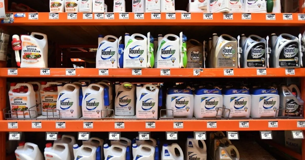 Decisão da Corte Suprema sobre Monsanto fende a base trumpista e redesenha riscos eleitorais