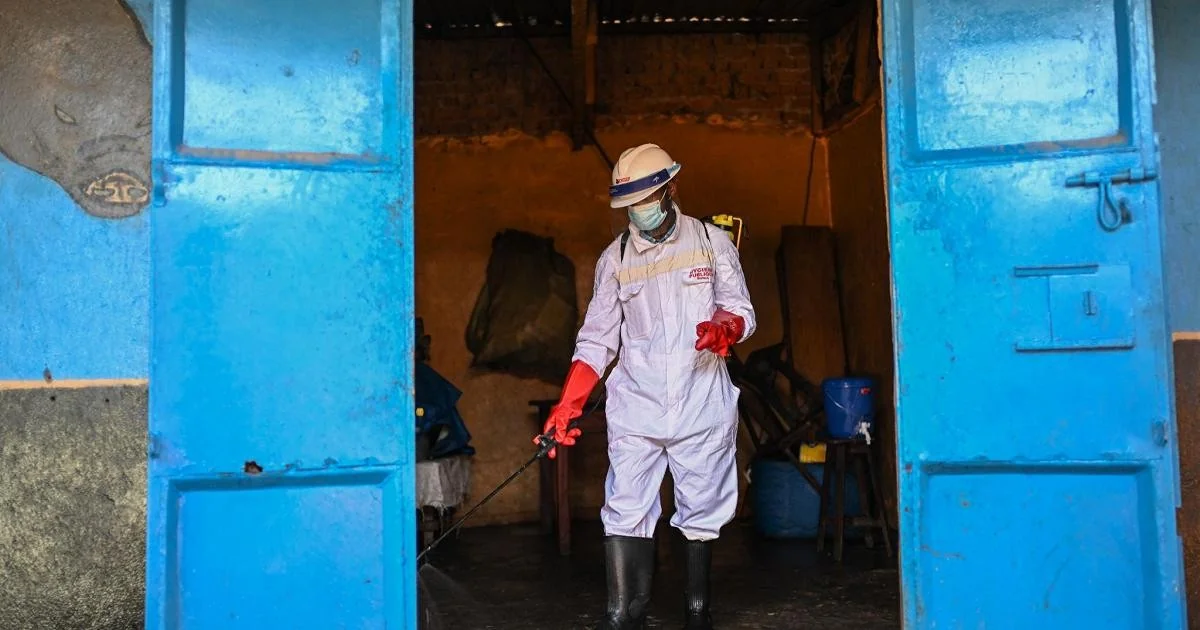 ECDC publica guia operacional sobre Ebola: risco de importação muito baixo, mas Europa deve se preparar