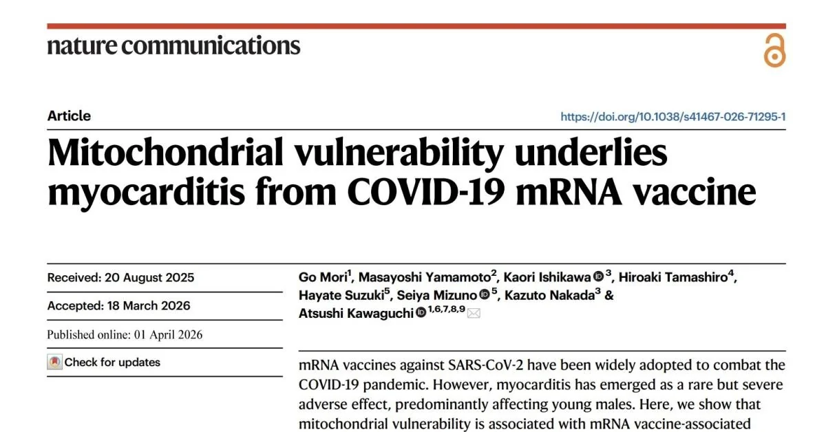Vacina Covid e risco cardíaco: estudo na Nature associa miocardites graves a vulnerabilidade mitocondrial em jovens