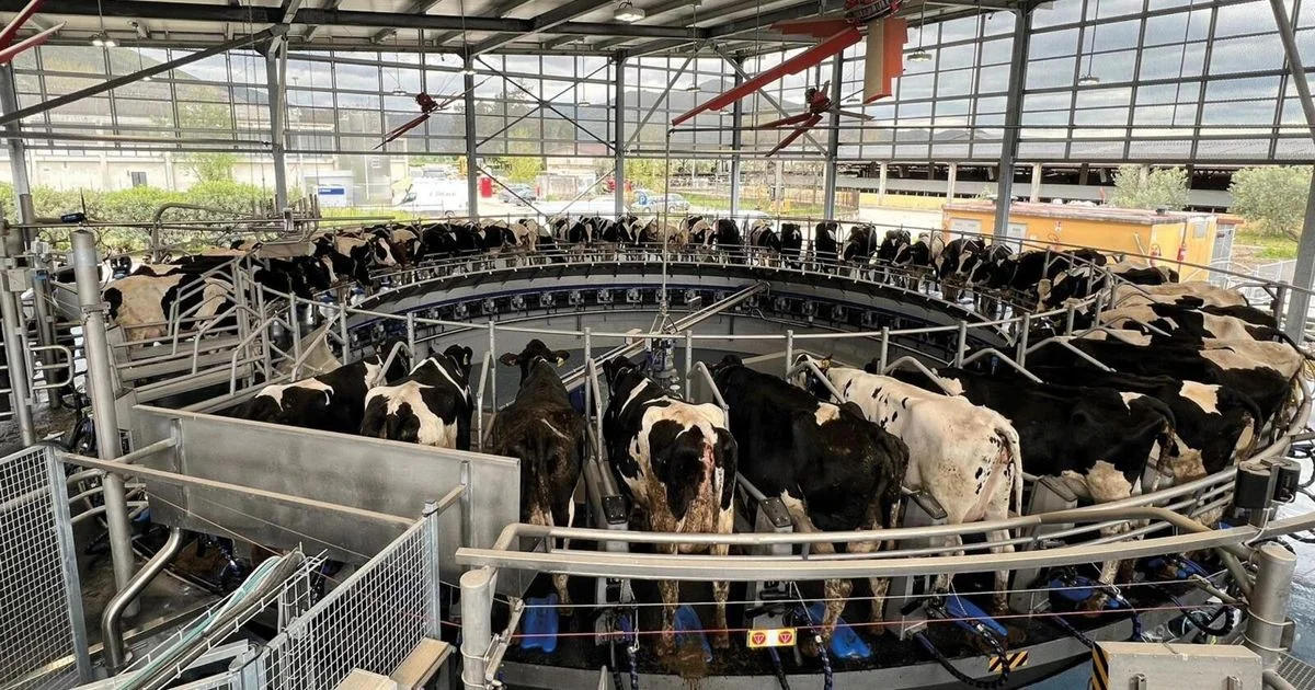 Fagianeria e Cirio Agricola: a nova excelência do leite entre tradição e tecnologia
