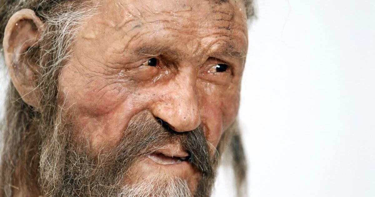 Leveduras friófilas encontradas na múmia Ötzi revelam microbioma complexo e ativo