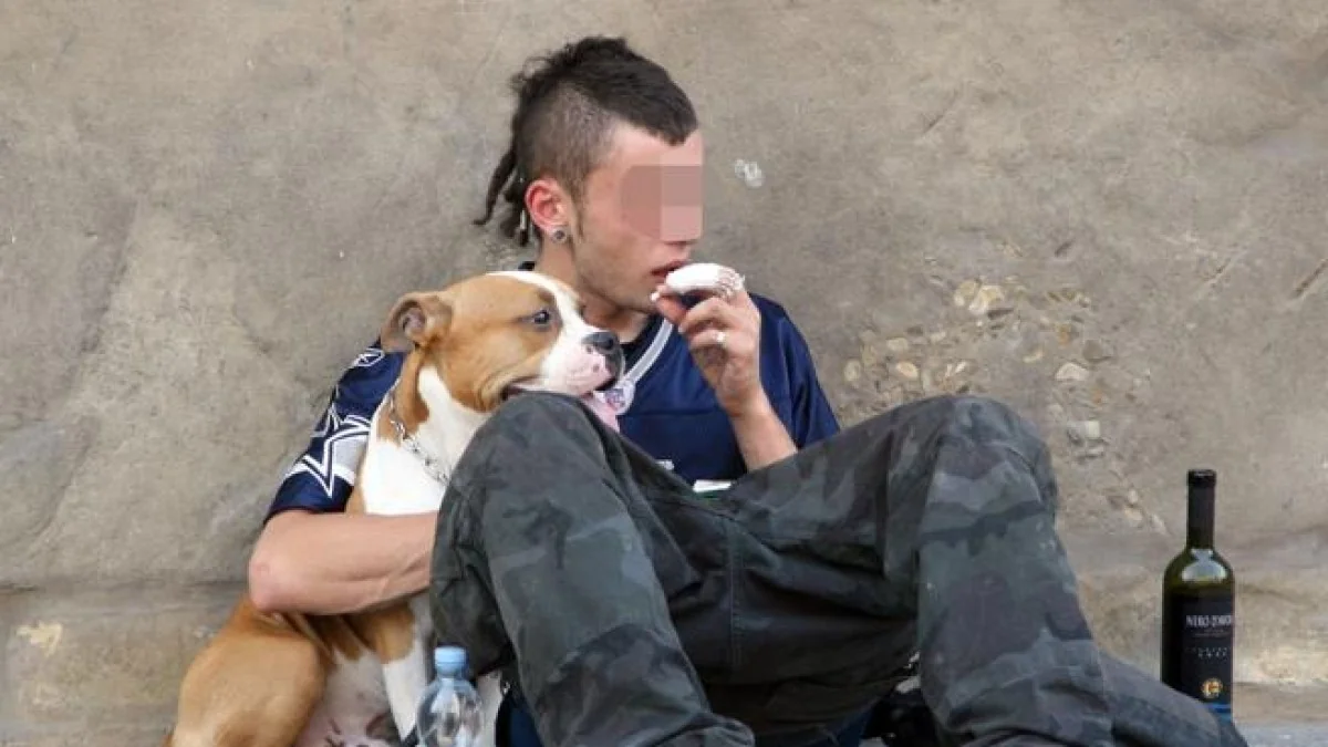 Lombardia trava proposta que visa proibir pedir esmola com cães apesar de 6.000 assinaturas