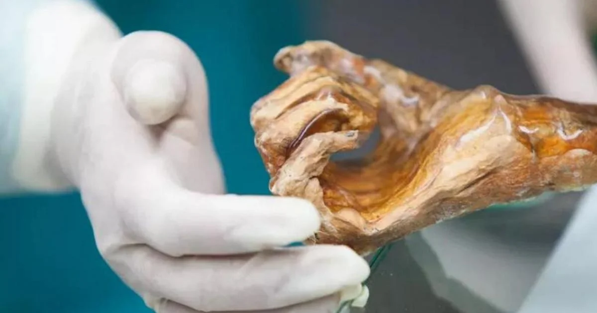 Mapeado o microbioma de Ötzi: descoberta de leveduras super-resistentes ao frio