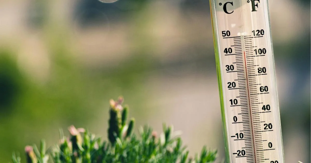 Ondas de calor na Itália: níveis de risco, cidades mais afetadas e como proteger sua saúde