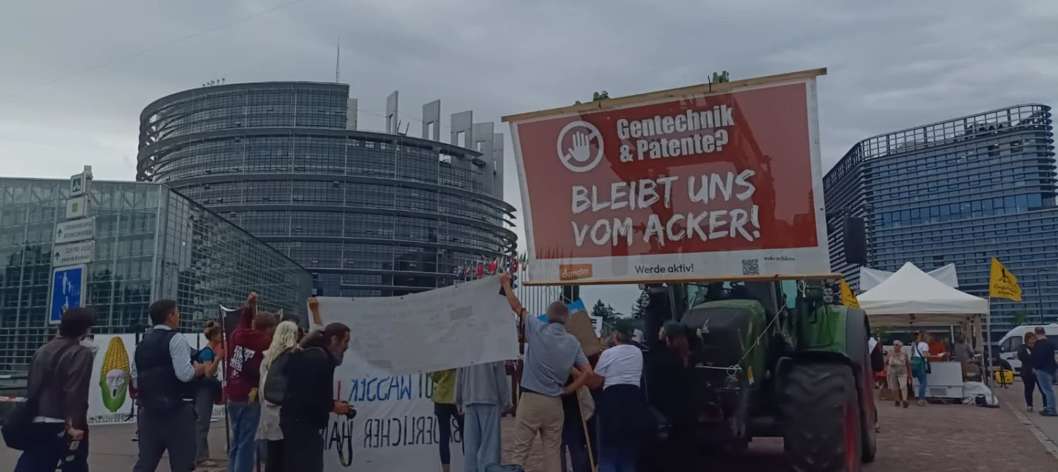 Parlamento Europeu Aprova Regulamento sobre Novas Técnicas Genômicas: Entre Inovação e Risco de Dependência das Multinacionais