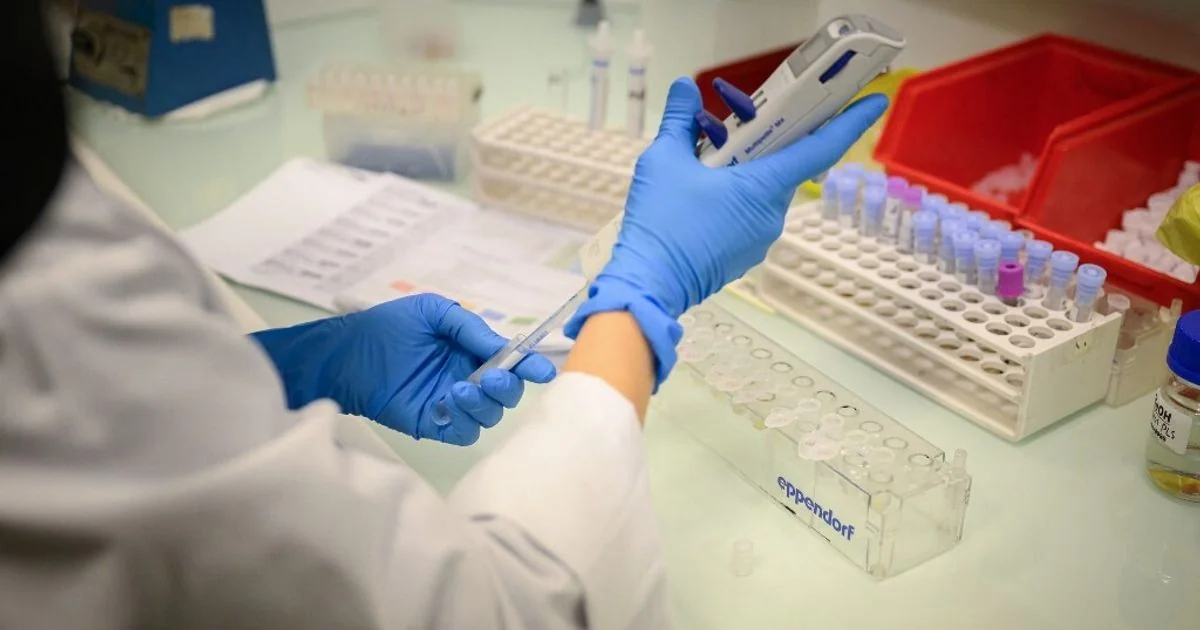 Primeira terapia genética para 'rejuvenescer' células é testada em humano: caso no tratamento do glaucoma