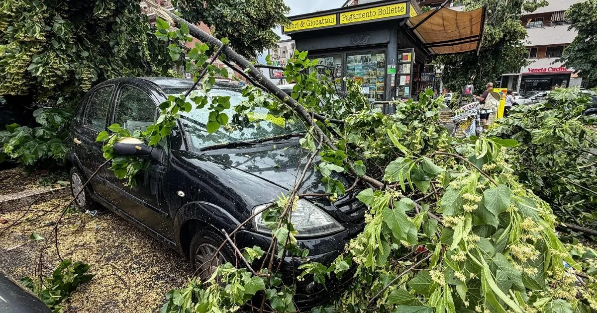 Temporal e tromba d'aria deixam bairros do norte de Roma com árvores caídas e pontos alagados