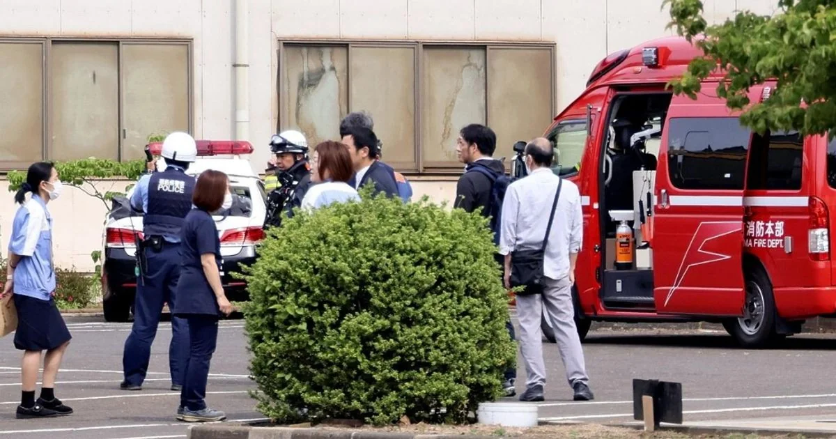 Urso em Utsunomiya fecha 94 escolas e mobiliza caçadores e polícia no norte de Tóquio
