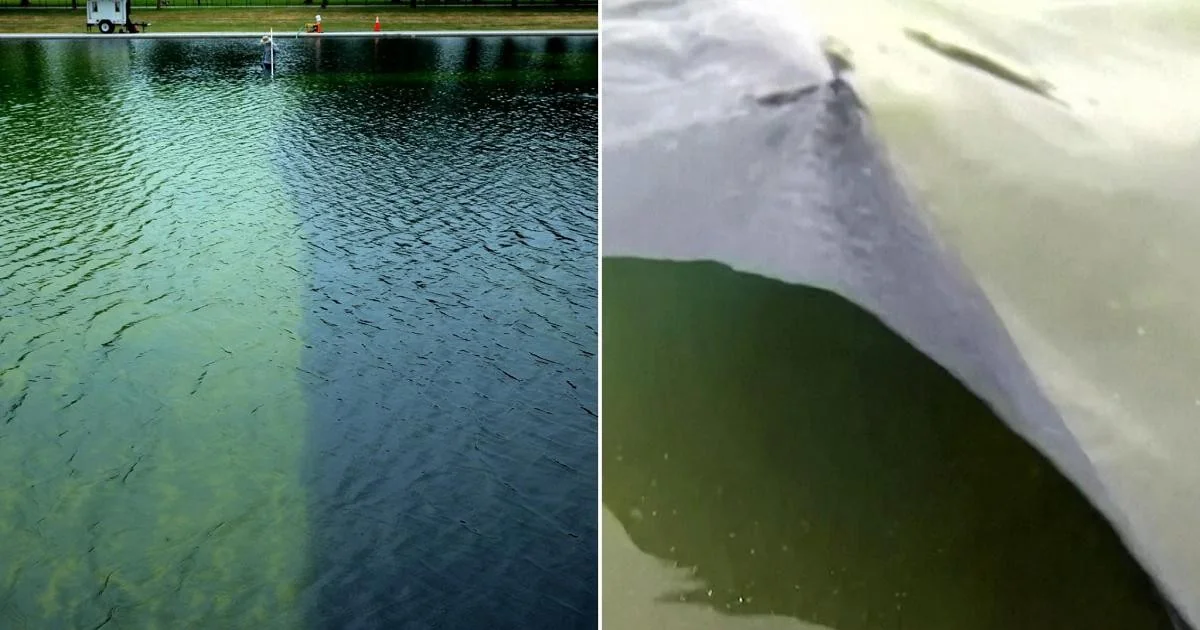 Trump anuncia vários presos por vandalismo na Reflecting Pool; ex-olímpico é detido e nega dano