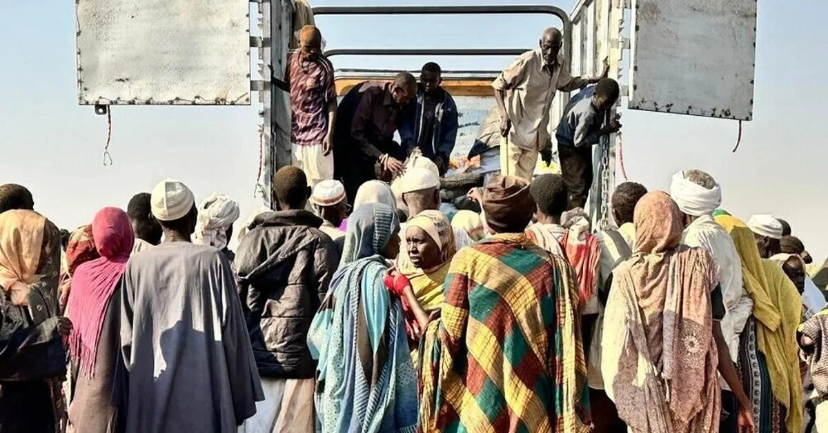 Amnesty: RSF cometeram crimes contra a humanidade e limpeza étnica no cerco a Al‑Fashir