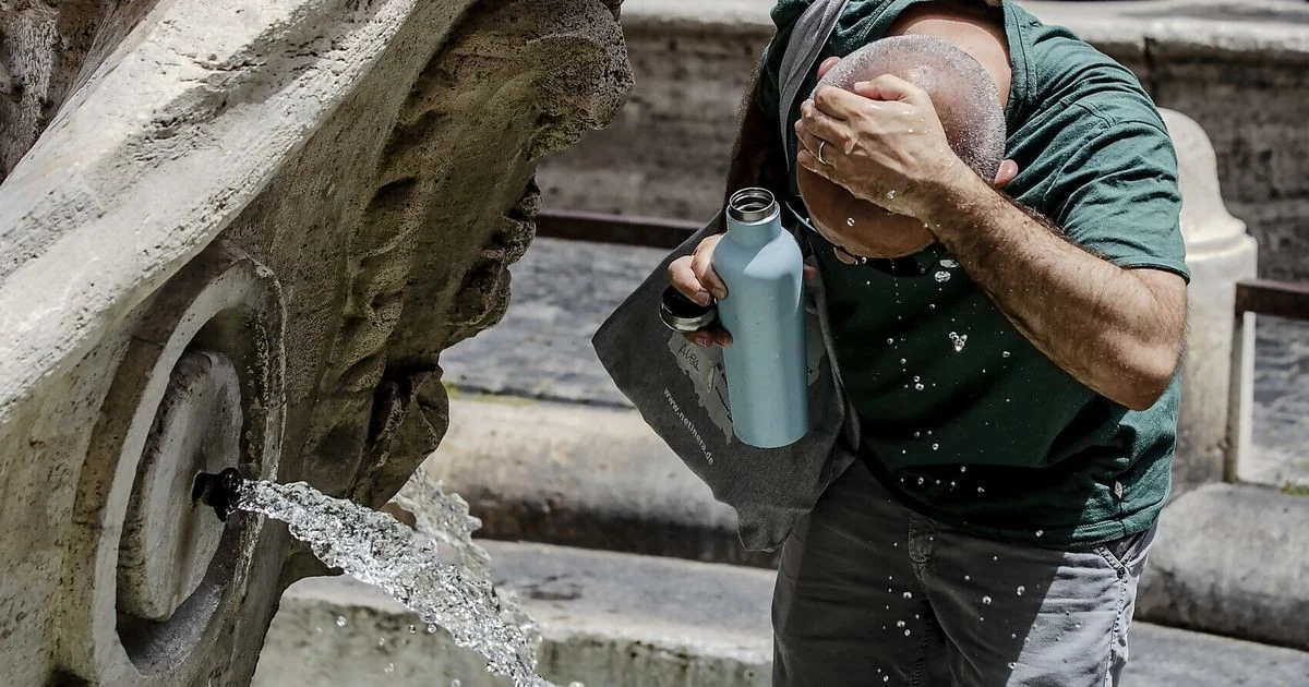 Com mais árvores, cidades italianas ficam até 4°C mais frescas, aponta projeto MIRIFICUS
