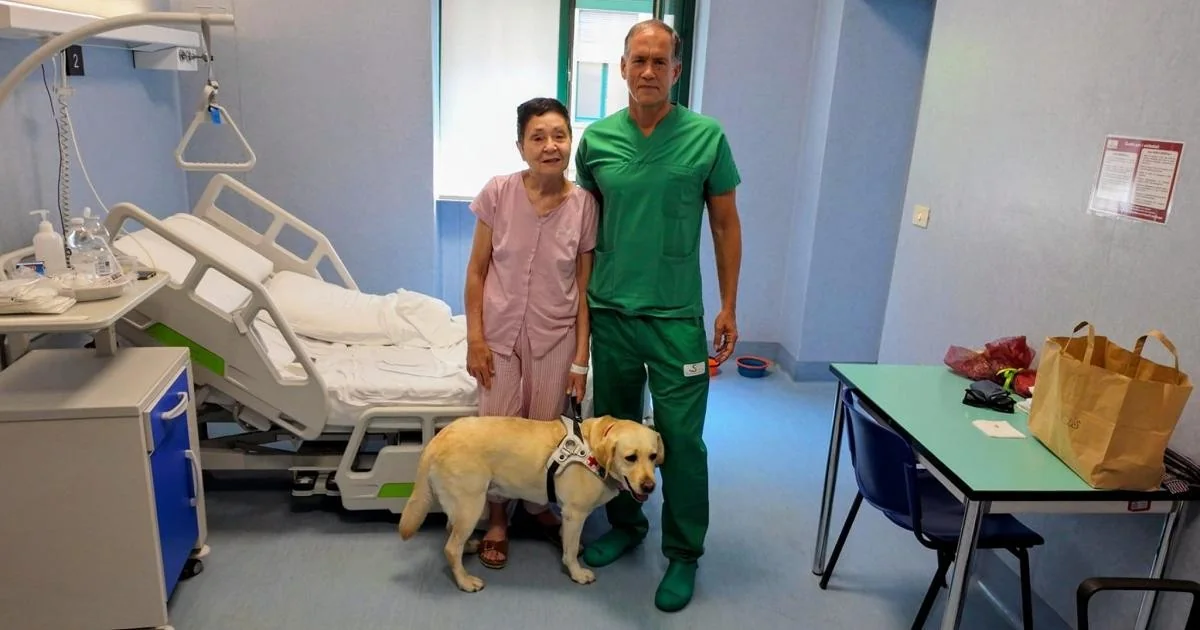 Mulher volta a ver após autotrapianto revolucionário de segmento anterior e porção central da retina nas Molinette