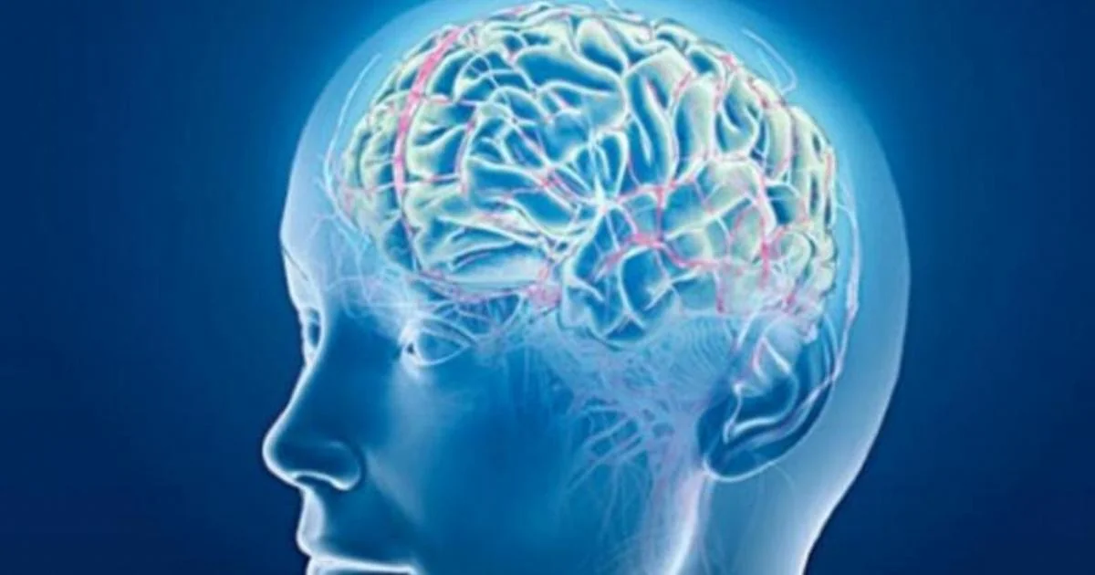 By-pass neural permite a um homem com tetraplegia recuperar movimentos e o tato