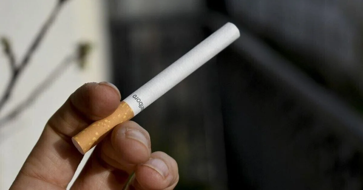 Cigarros com baixo teor de nicotina não aumentam consumo, diz revisão clínica