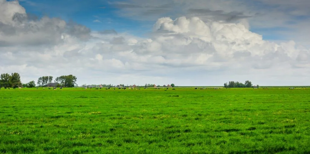 ClientEarth acusa Bélgica de omissão: país com maior contaminação por PFAS na Europa e comunidades envenenadas