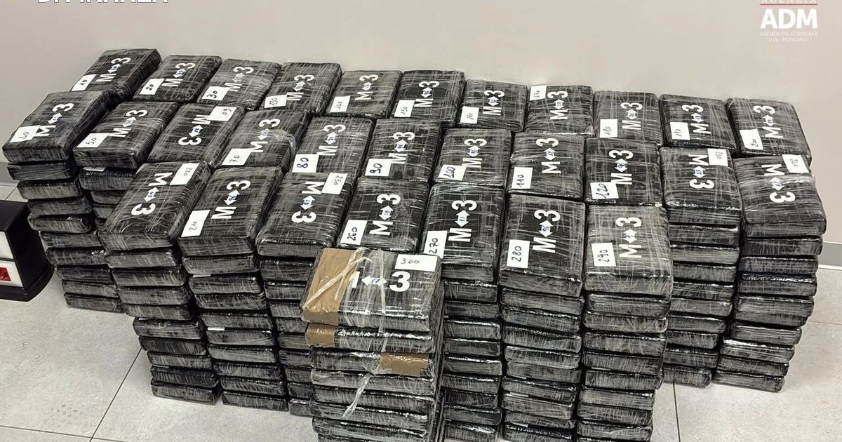 340 kg de cocaína pura são apreendidos em carga de platanos no porto de Vado Ligure