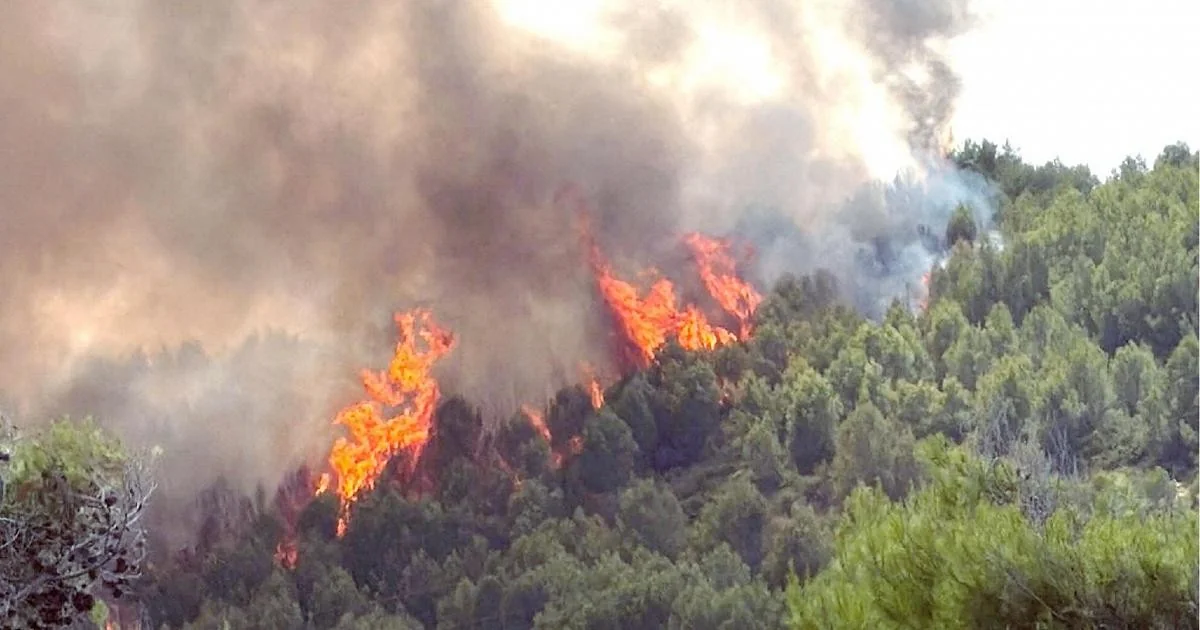 Incêndios no Gargano e Maratea: 400 turistas evacuados, 150 hectares queimados e operação de rescaldo segue