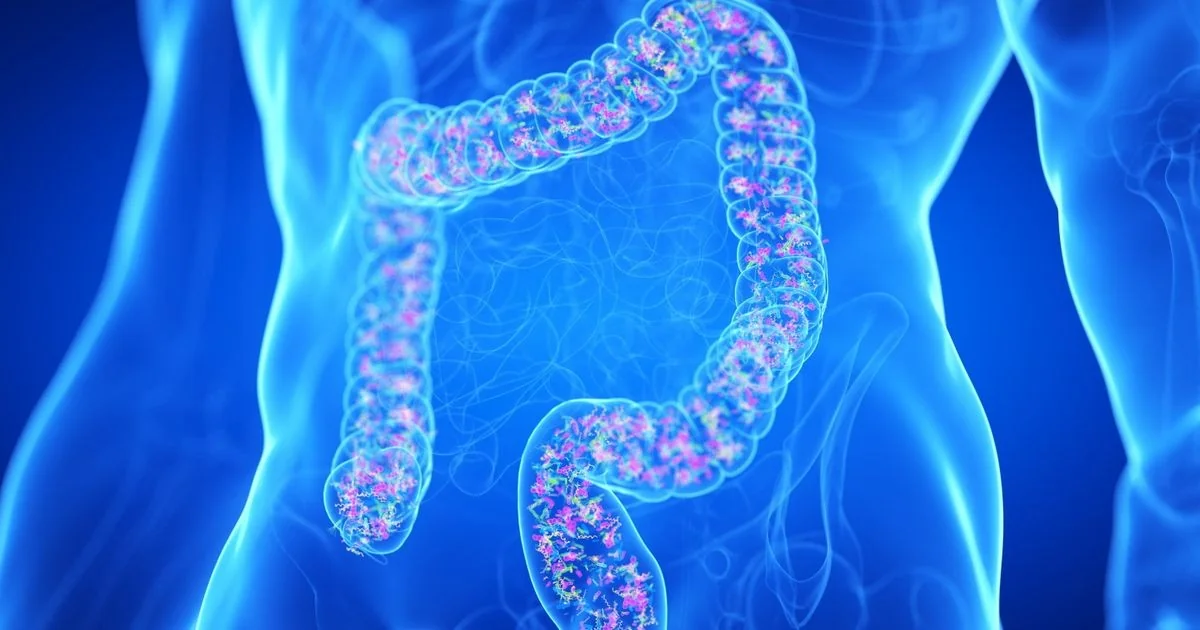 Jet lag intestinal: como proteger seu intestino em viagens intercontinentais