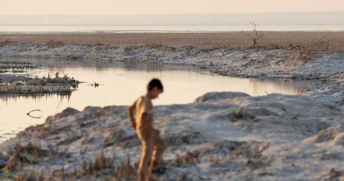 Mudança climática pode elevar casos de suicídio até 2050, revela amplo estudo internacional