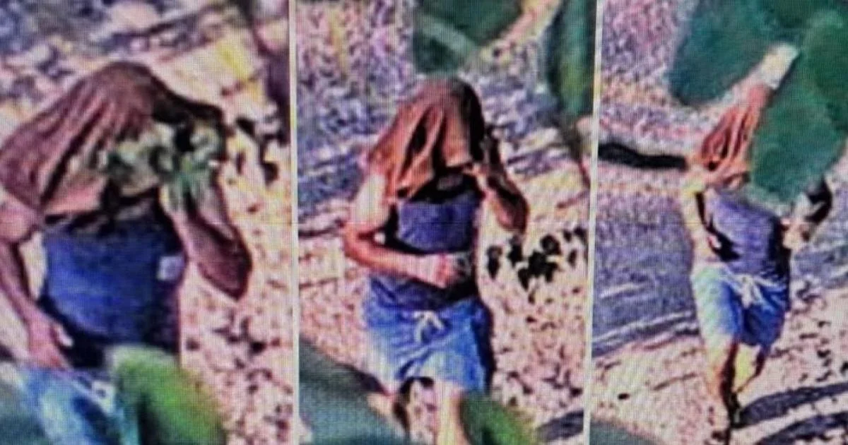 Milão: mulher que fazia jogging no Parco delle Cave morde agressor e facilita identificação; homem de 26 anos detido