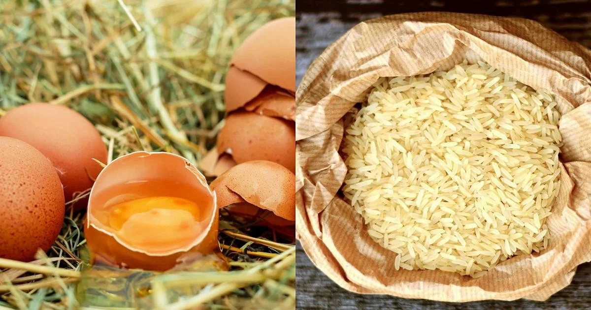 Alerta alimentar: ovos recolhidos por salmonela e riso Carnaroli retirado por pesticidas
