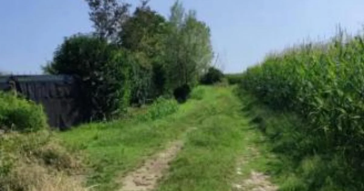 Tentativa de estupro em Chieri: idosa atacada na pista ciclável entre Chieri e Riva