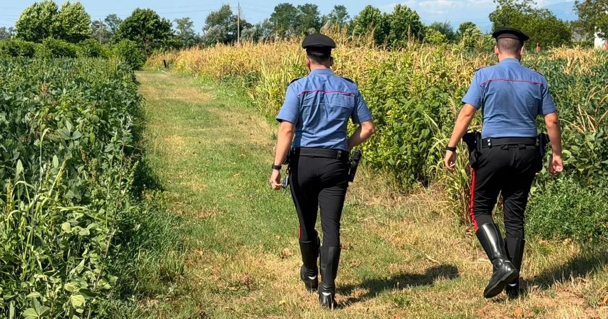 Treviso: gêmeos de 14 anos são sequestrados, despidos e espancados por uma baby gang em Orsago
