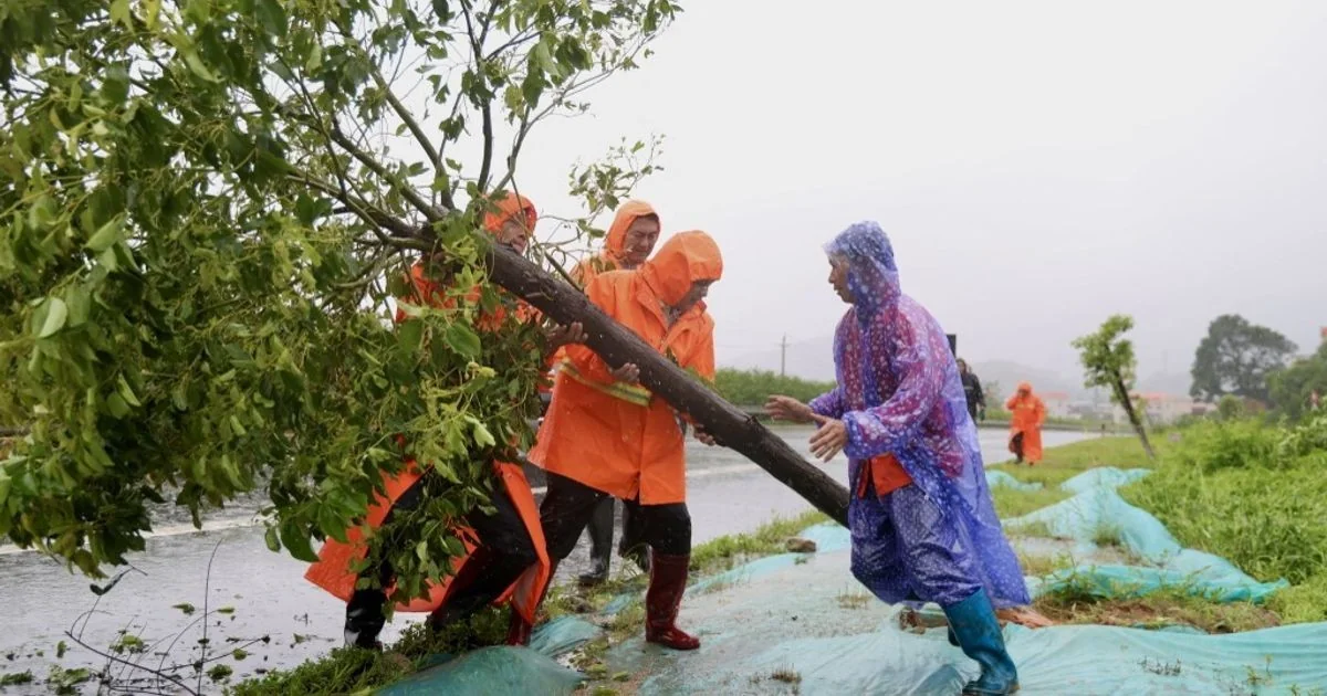 Tufão Noul atinge o sul da China: evacuações em massa, ventos de 162 km/h e grande impacto em Guangdong e Hong Kong